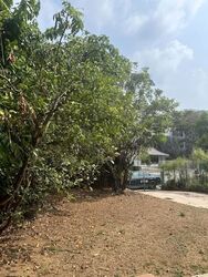 Spring Park Estate (D16), Semi-Detached #613098961